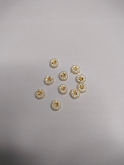 Miniature Fruits for cream-glue projects